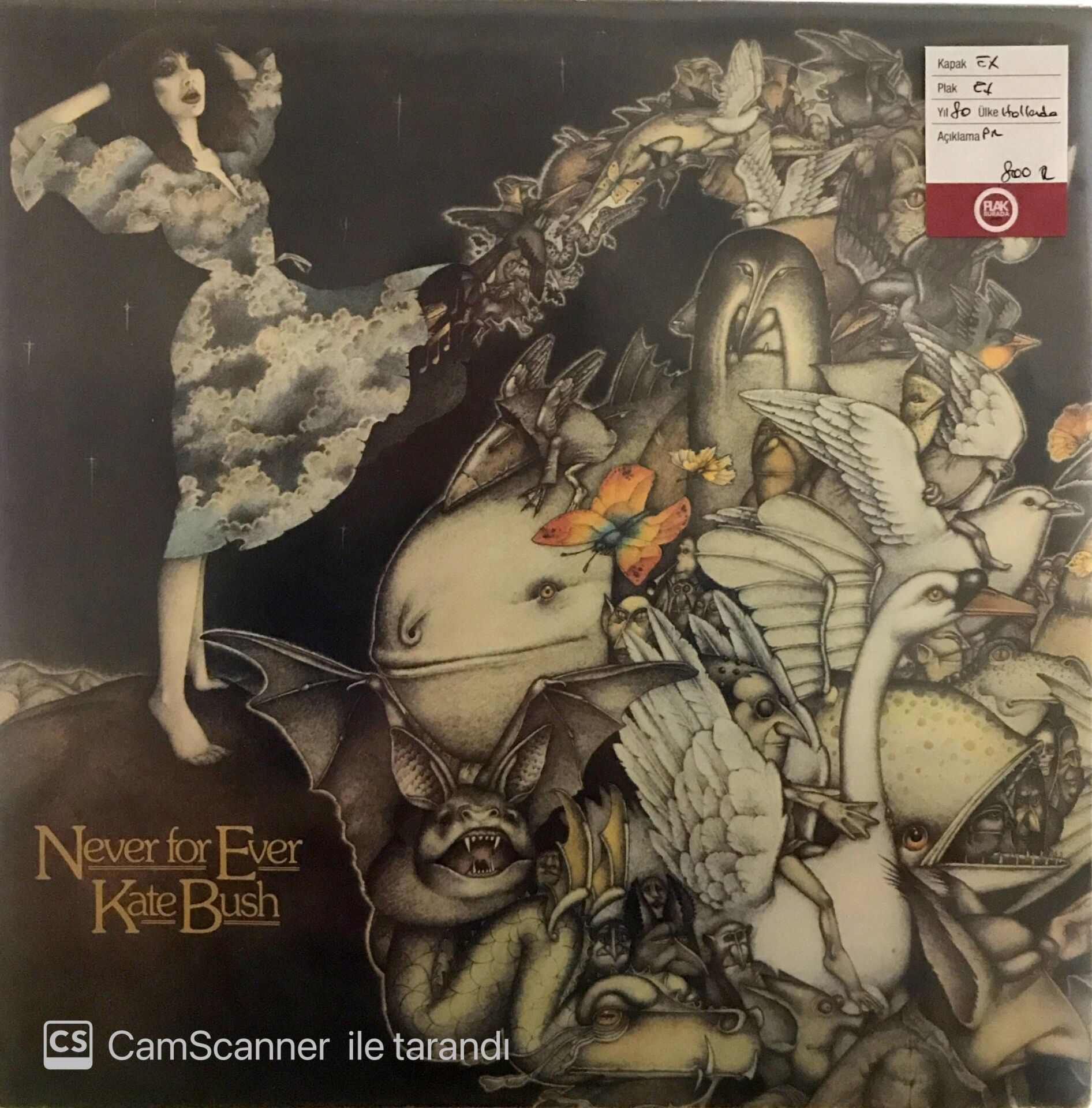 Kate Bush - Never For Ever LP
