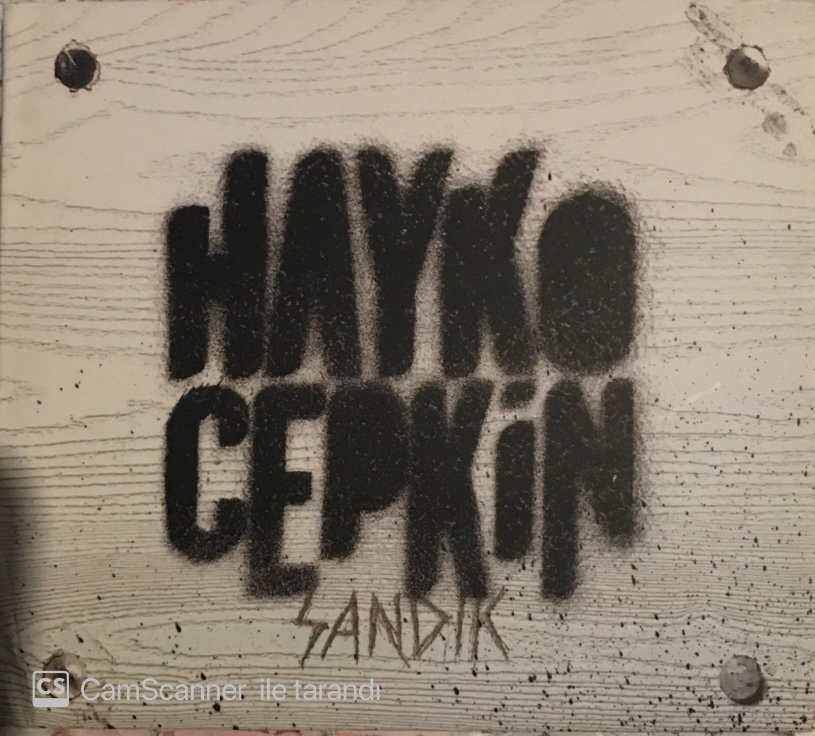 Hayko Cepkin Sandık CD