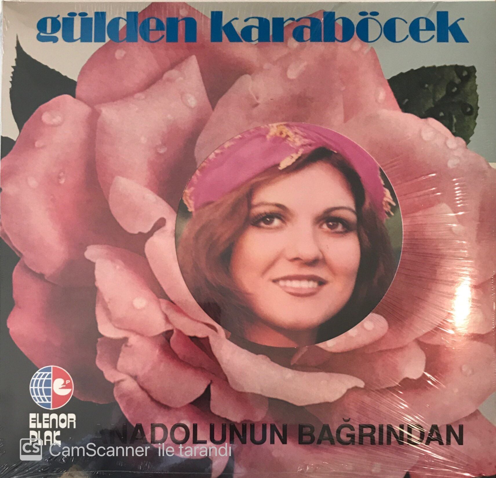 Gülden Karaböcek Anadolunun Bağrından LP