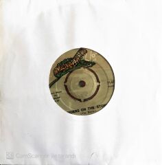 The Doors - Riders on the Storm 45lik