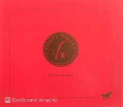 Vanessa-Mae / Happy Valley CD