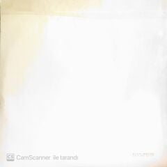 The Beatles - The Beatles (White Album Japonya Baskı) - LP