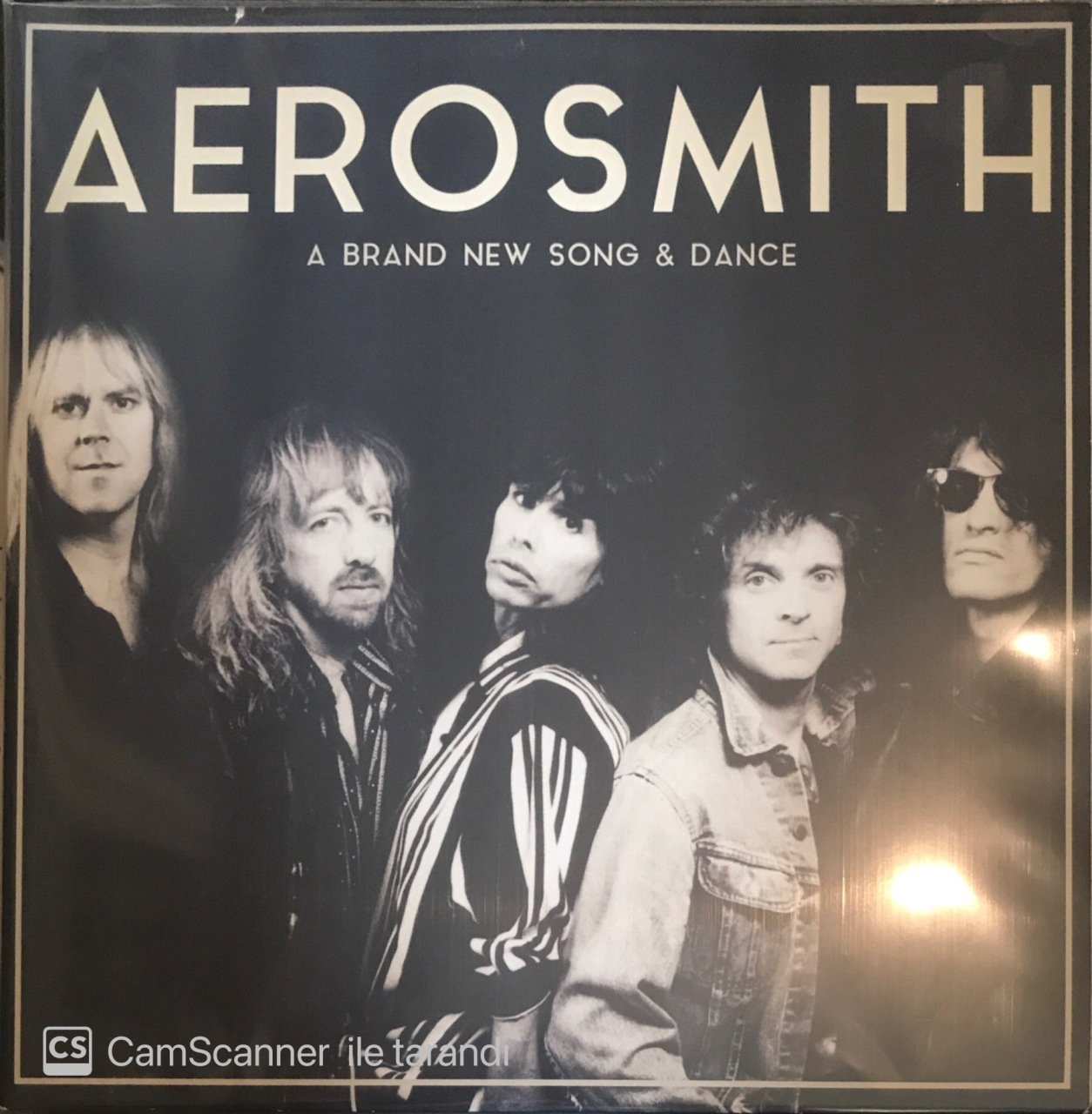 Aerosmith A Brand New Song & Dance Double LP