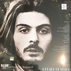Tyrannosauruss Rex A Beard Of Stars Double LP
