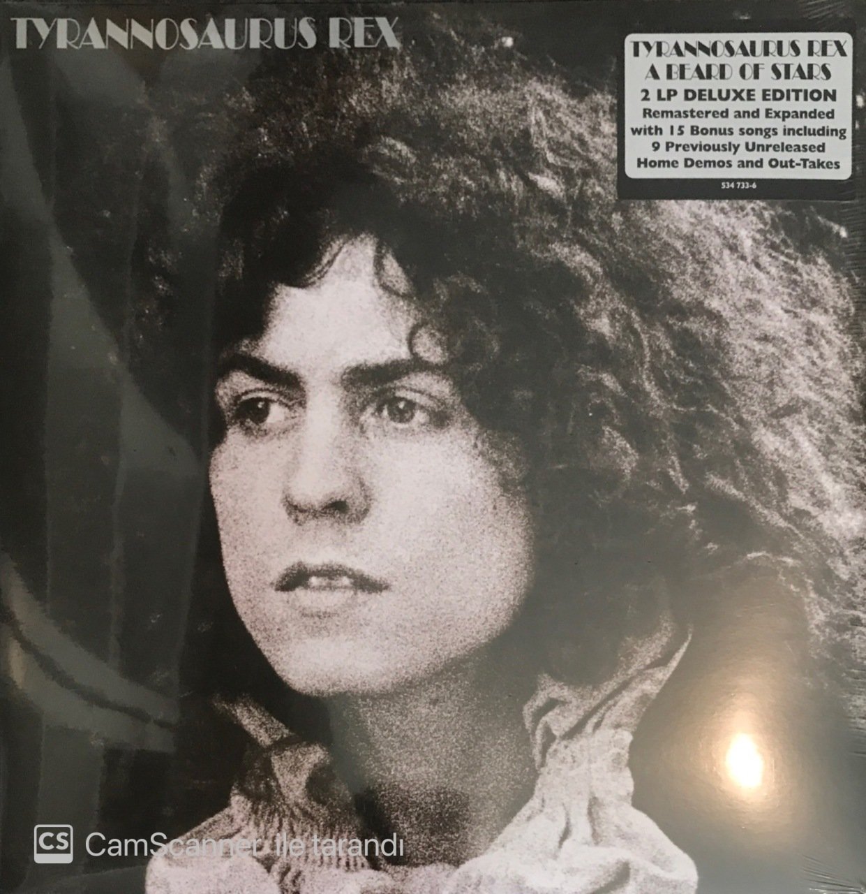 Tyrannosauruss Rex A Beard Of Stars Double LP