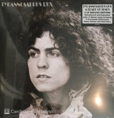 Tyrannosauruss Rex A Beard Of Stars Double LP