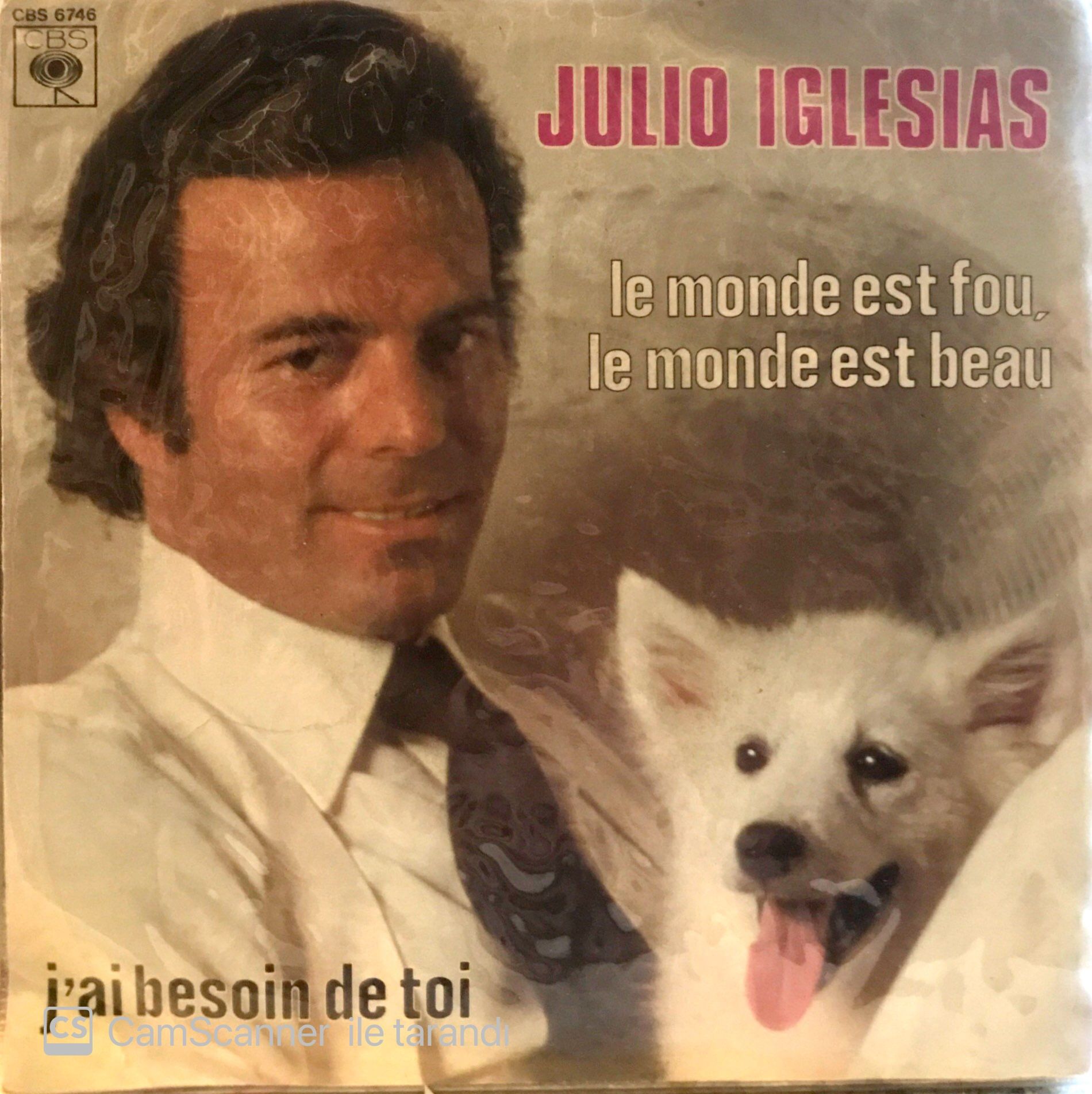 Julio iglesias - le monde est fou 45lik
