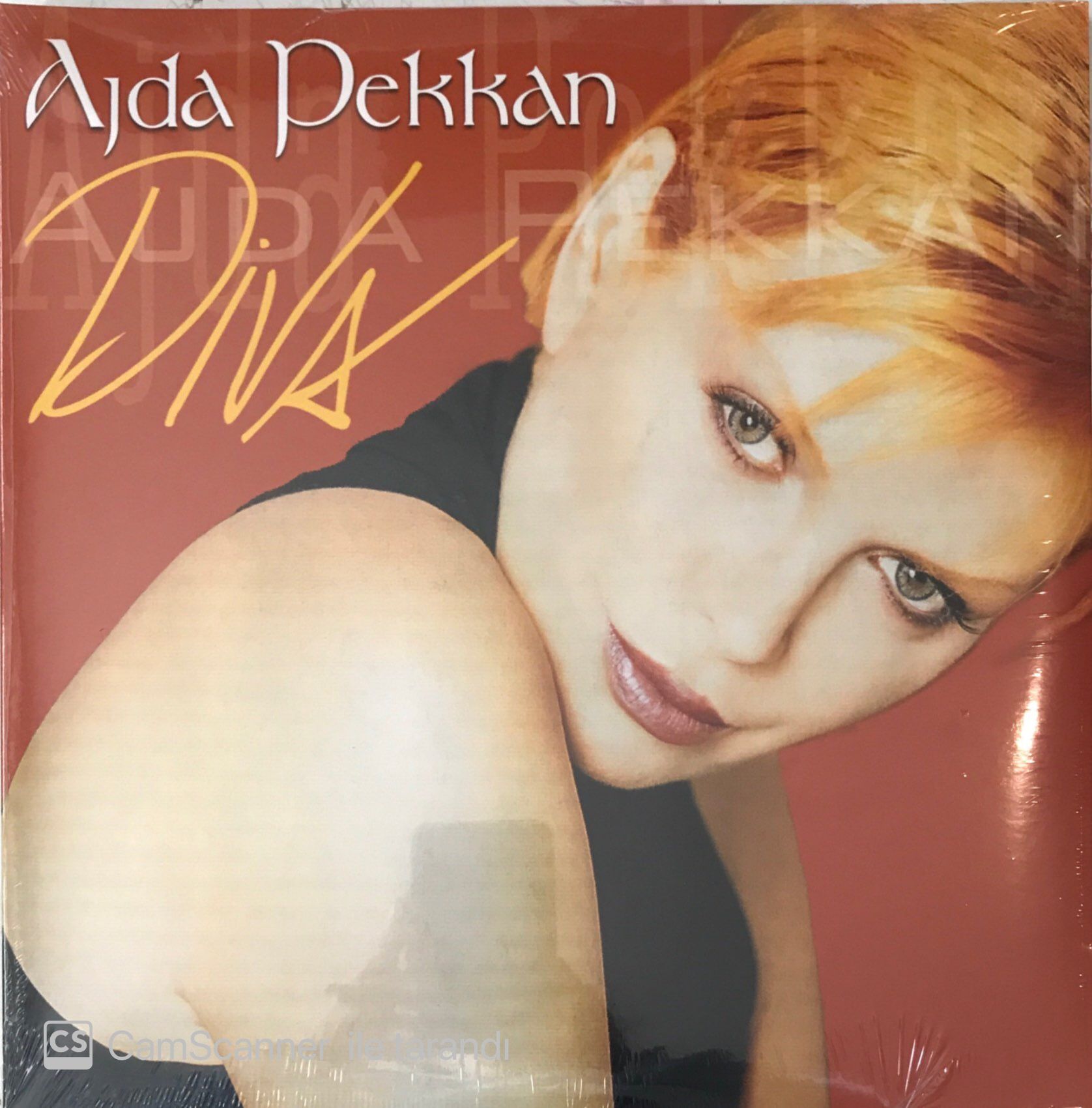 Ajda Pekkan Diva Double LP