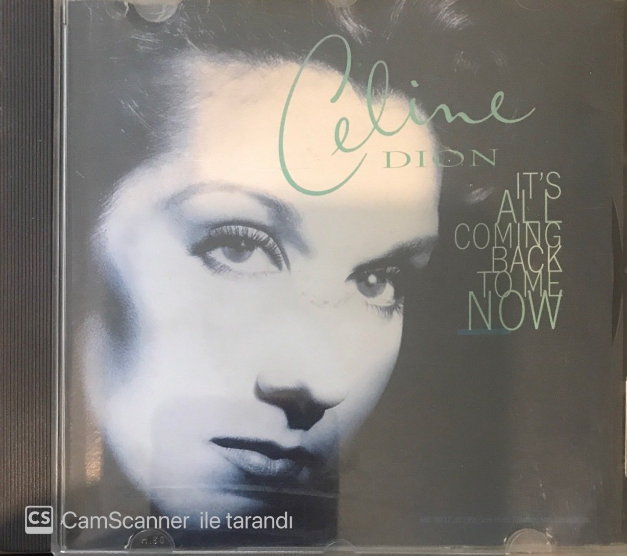 Celine Dion It's All Coming Back To Me Now CD