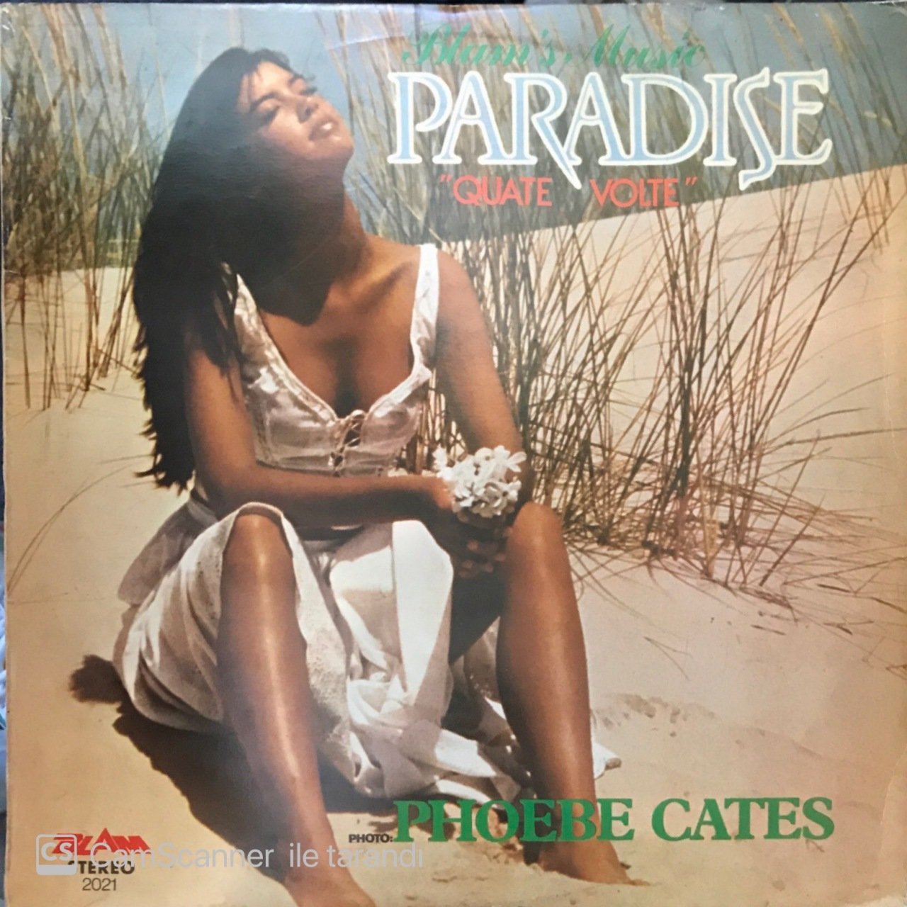 Paradise Quate Volte Phoebe Cates LP