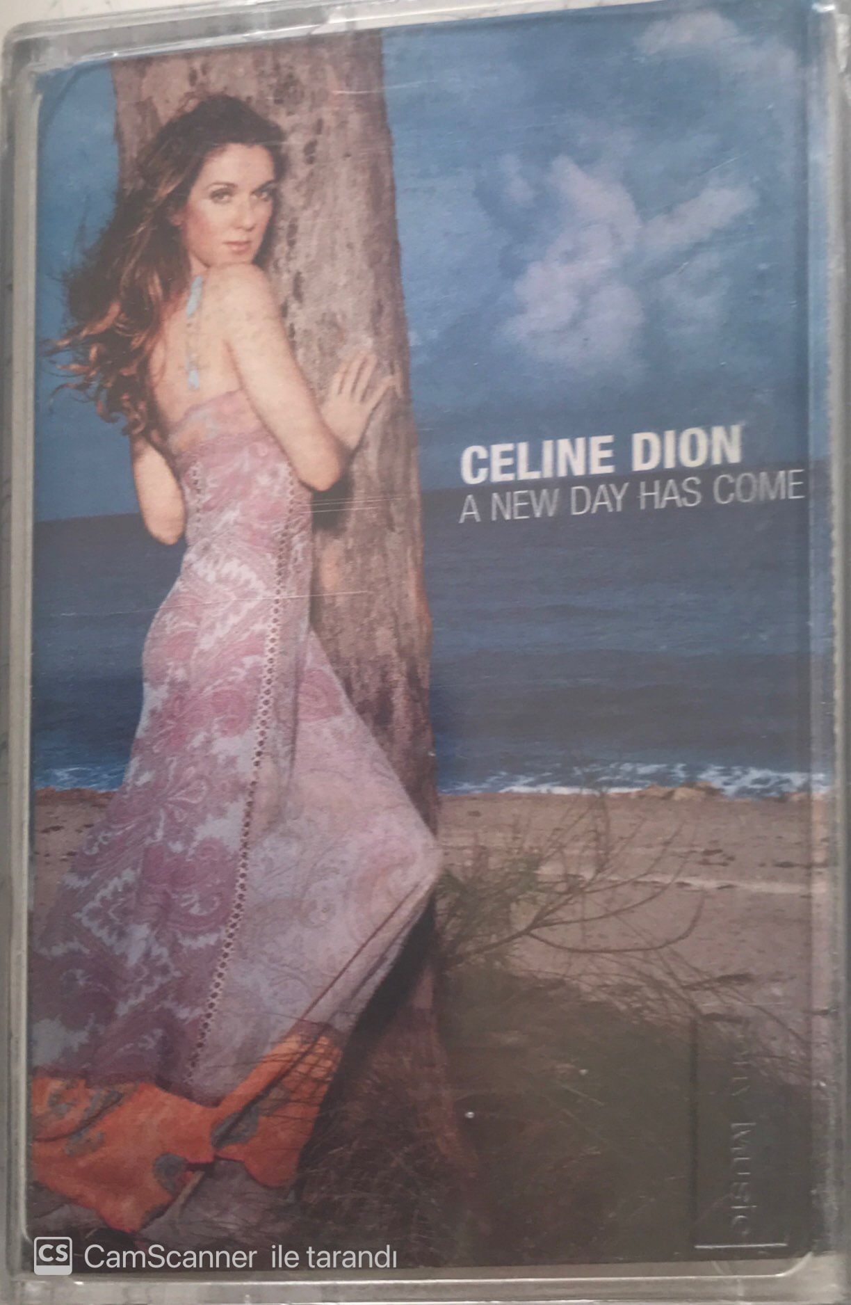 Celine Dion A New Day Has Come KASET