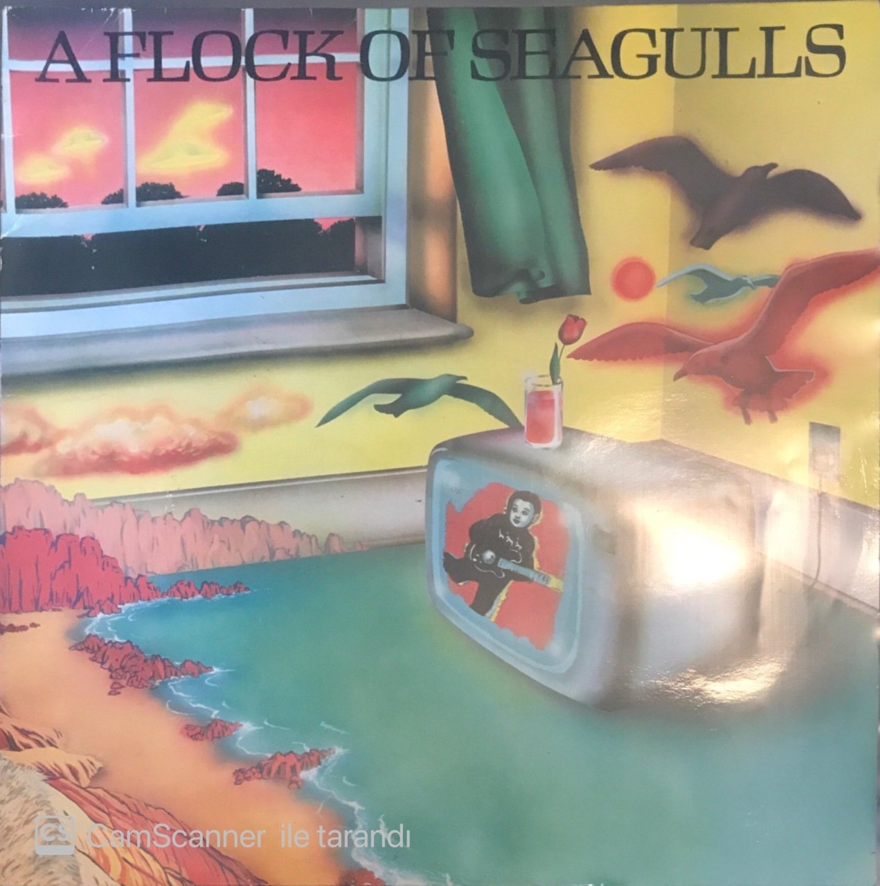 A Flock Of Seagulls LP