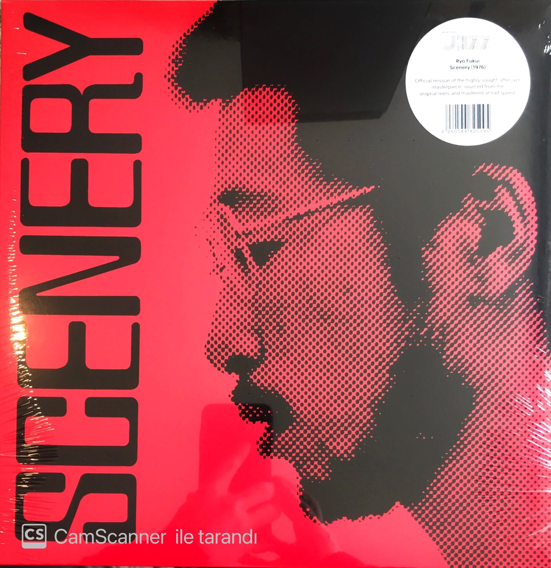 Ryo Fukui - Scenery LP