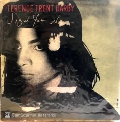 Terence Trent Darby - Sign your name 45lik
