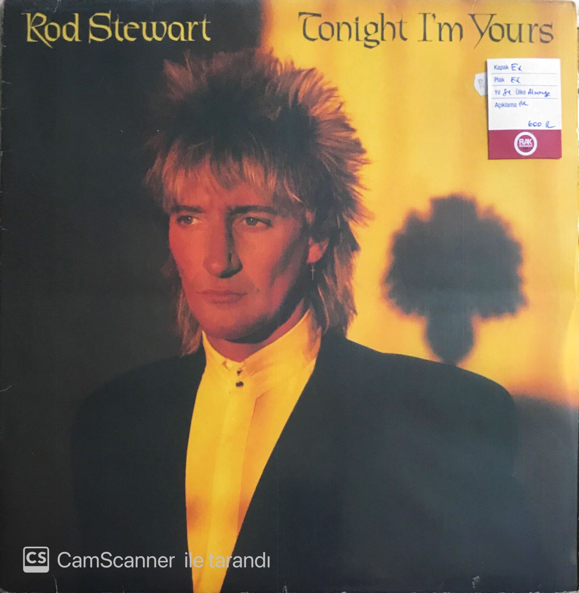 Rod Stewart - Tonight I'm Yours - LP