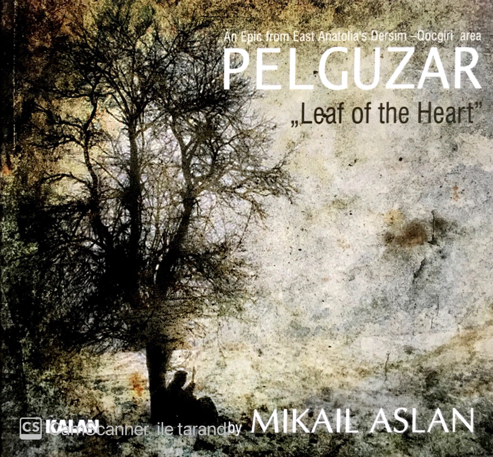 Mikail Aslan / Pelguzar CD