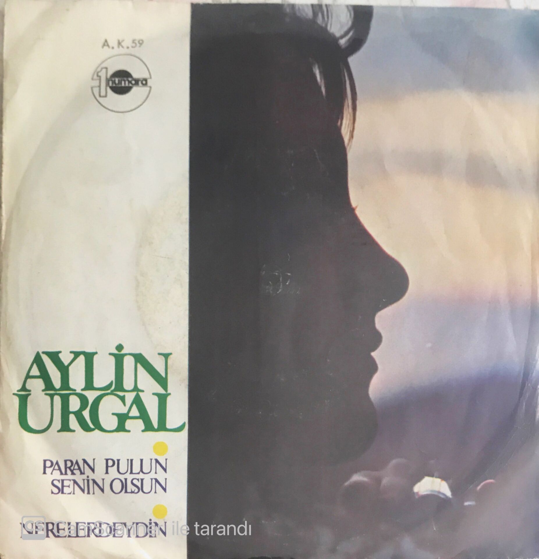 Aylin Urgal - Paran Pulun Senin Olsun/Nerelerdeydin - 45'lik