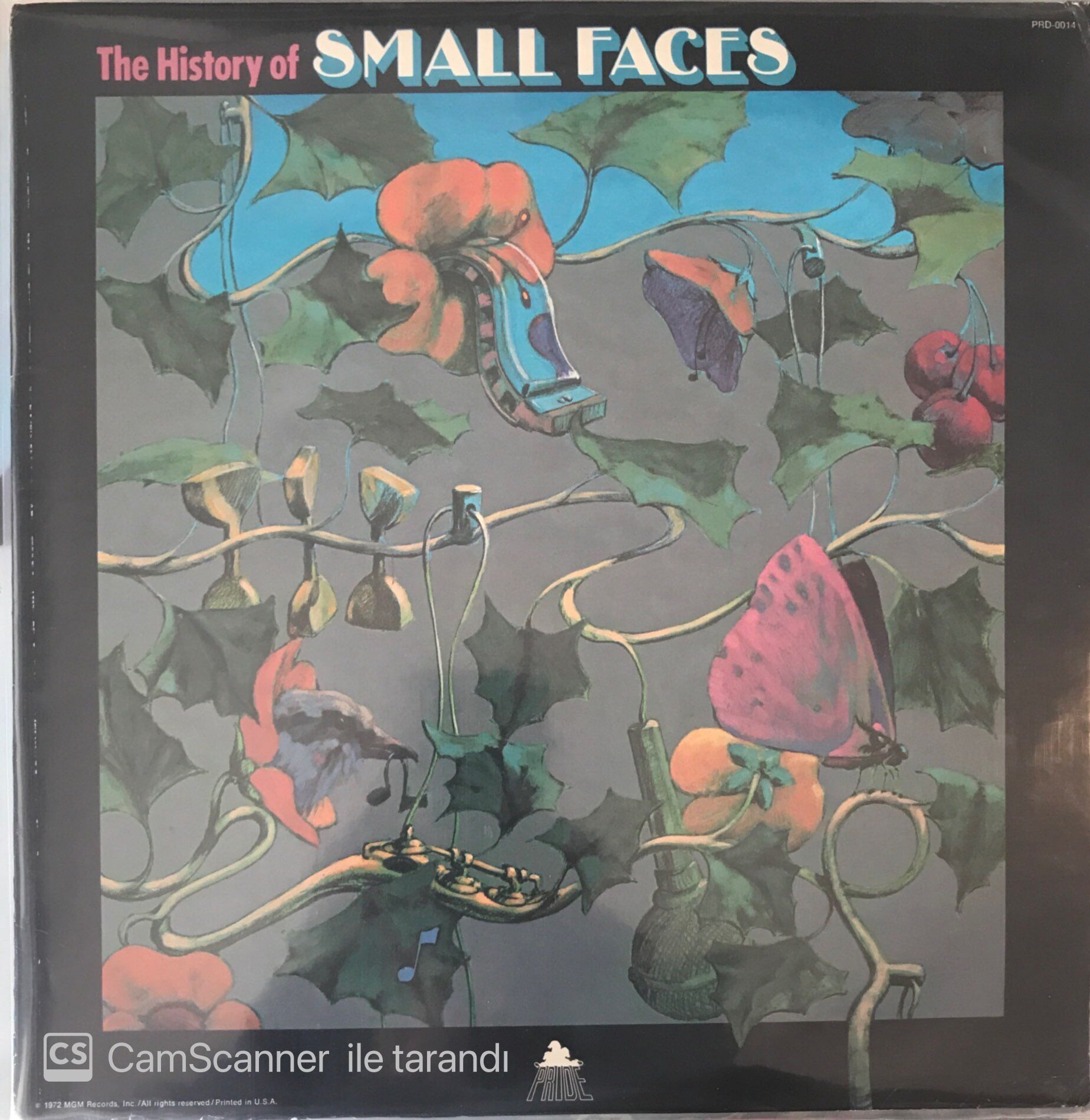 The History Of Small Faces LP
