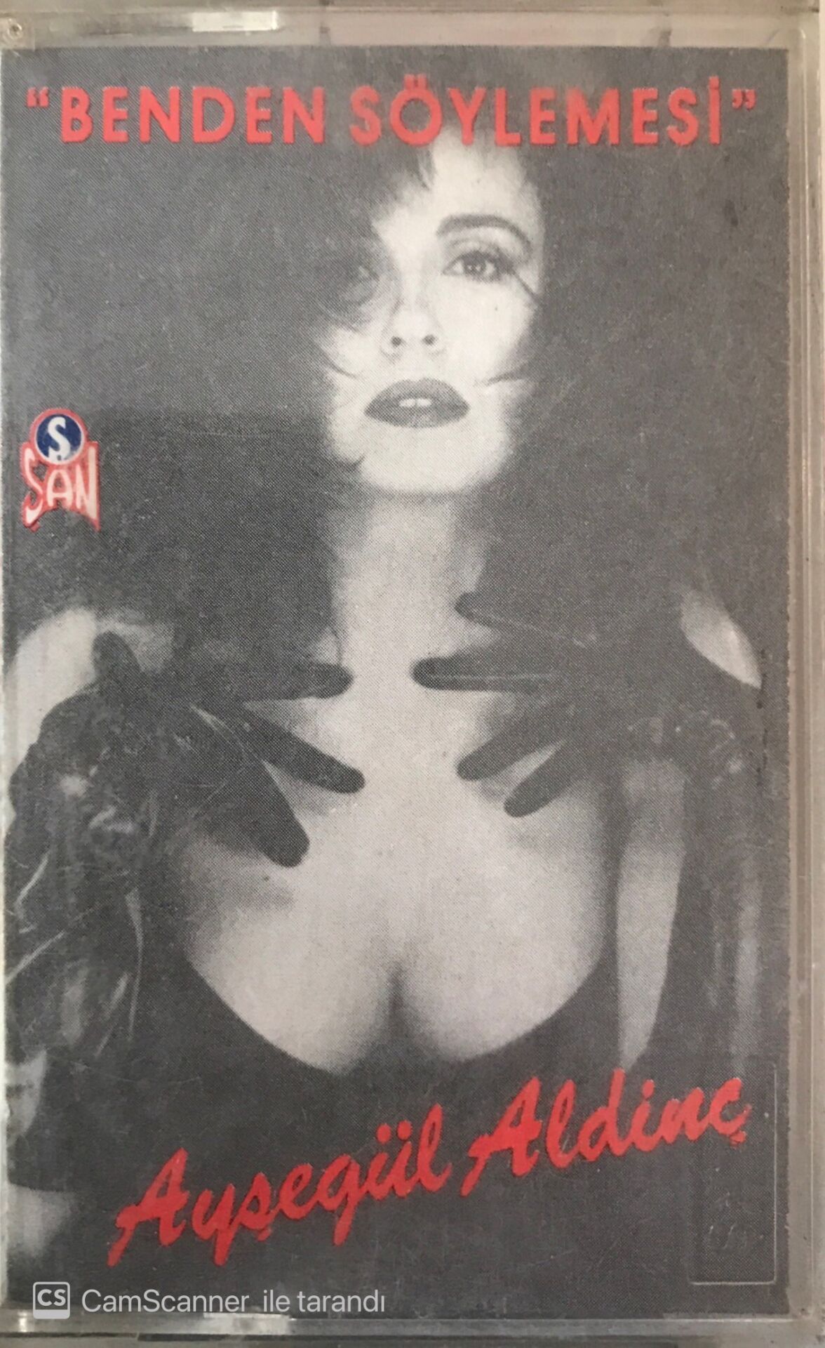 Ayşegül Aldinç Benden Söylemesi KASET