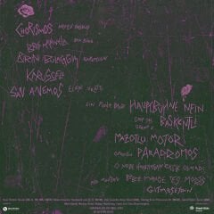 Elektro Hafız - Style İs Prison Mockup LP