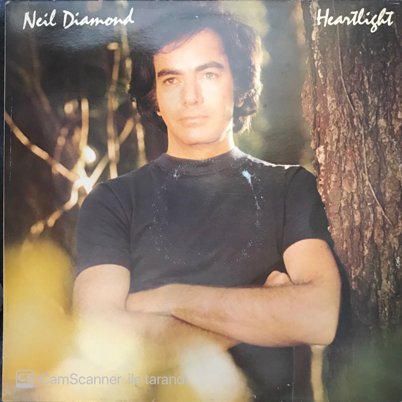 Neil Diamond Heartlight LP