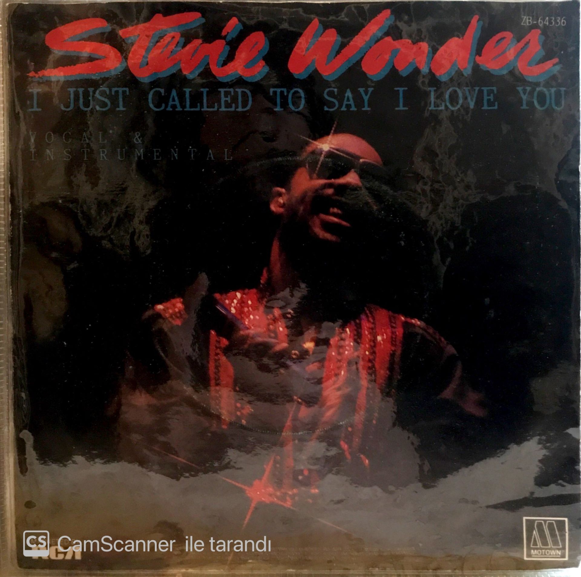 Stevie Wonder - I Just call to say i love you 45likk