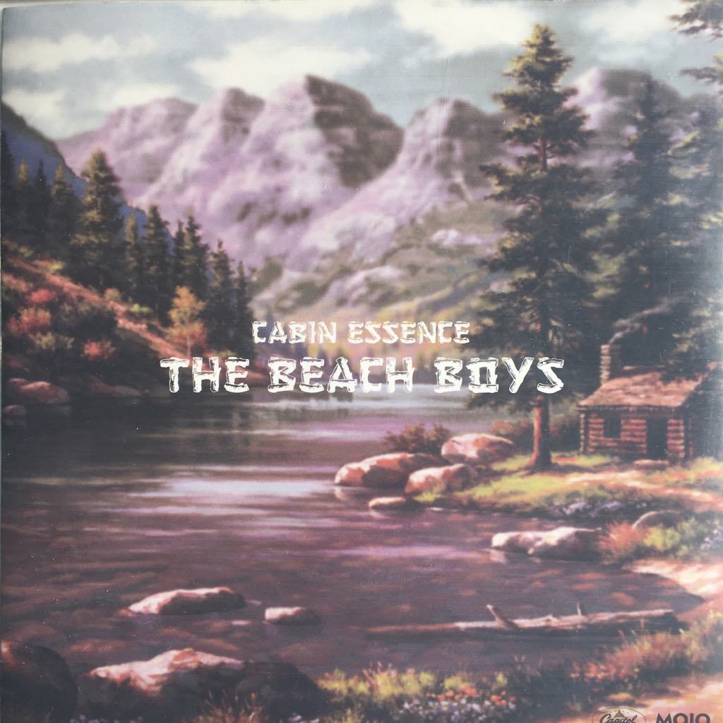 The Beach Boys Cabin Essence (Renkli) 45lik