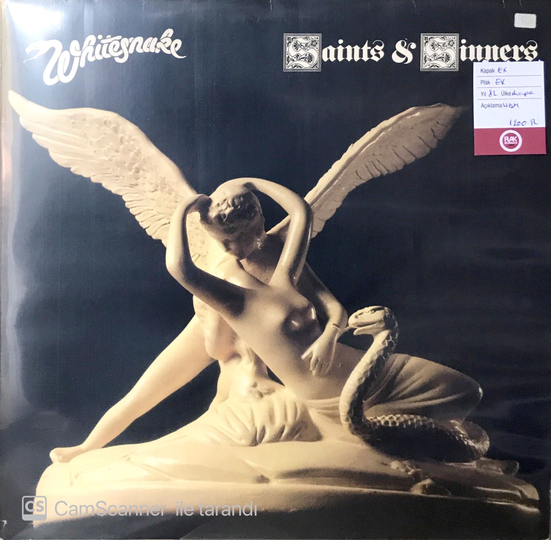 Whitesnake Saints & Sinners LP