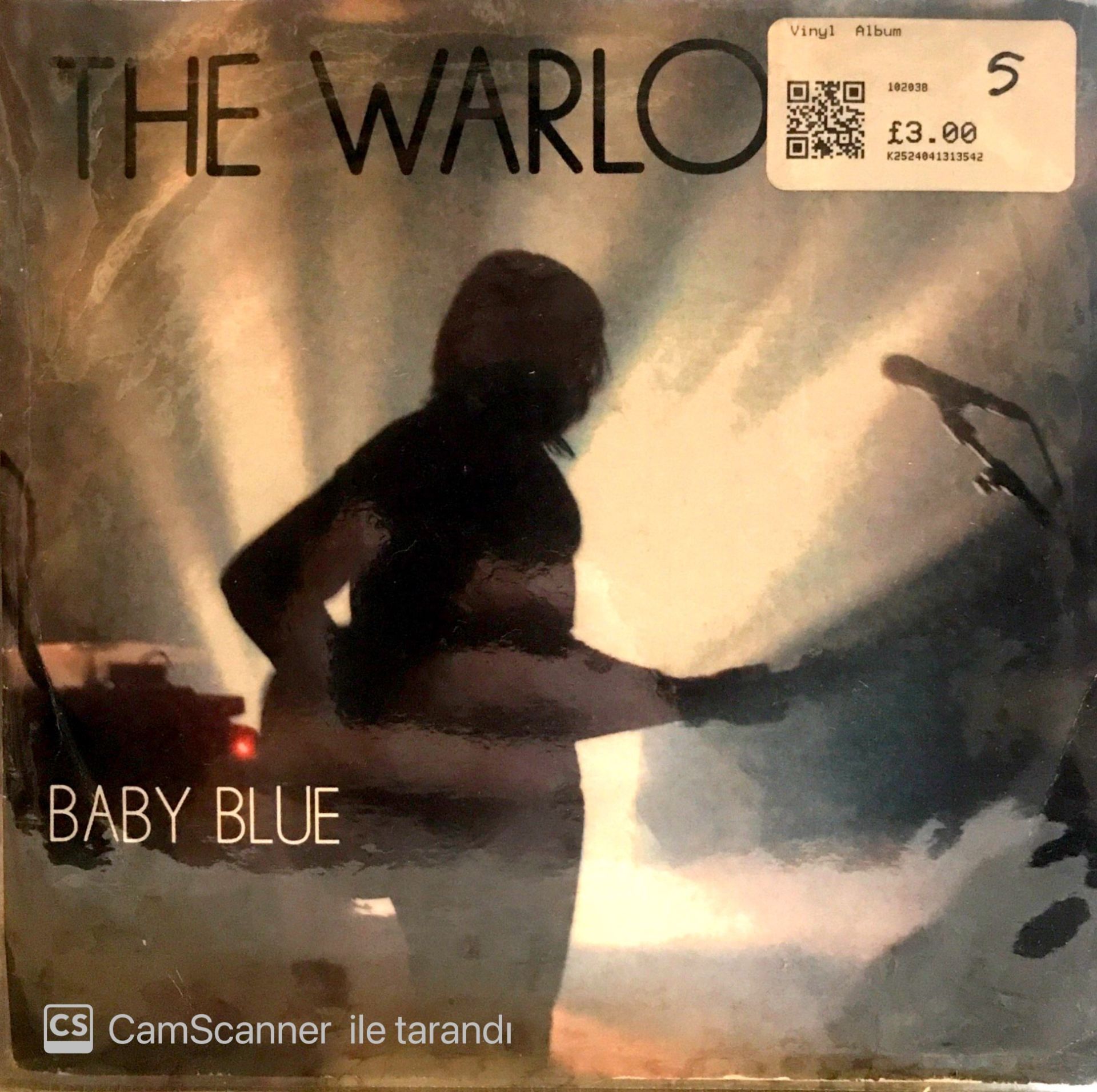 The Warlocks 45lik
