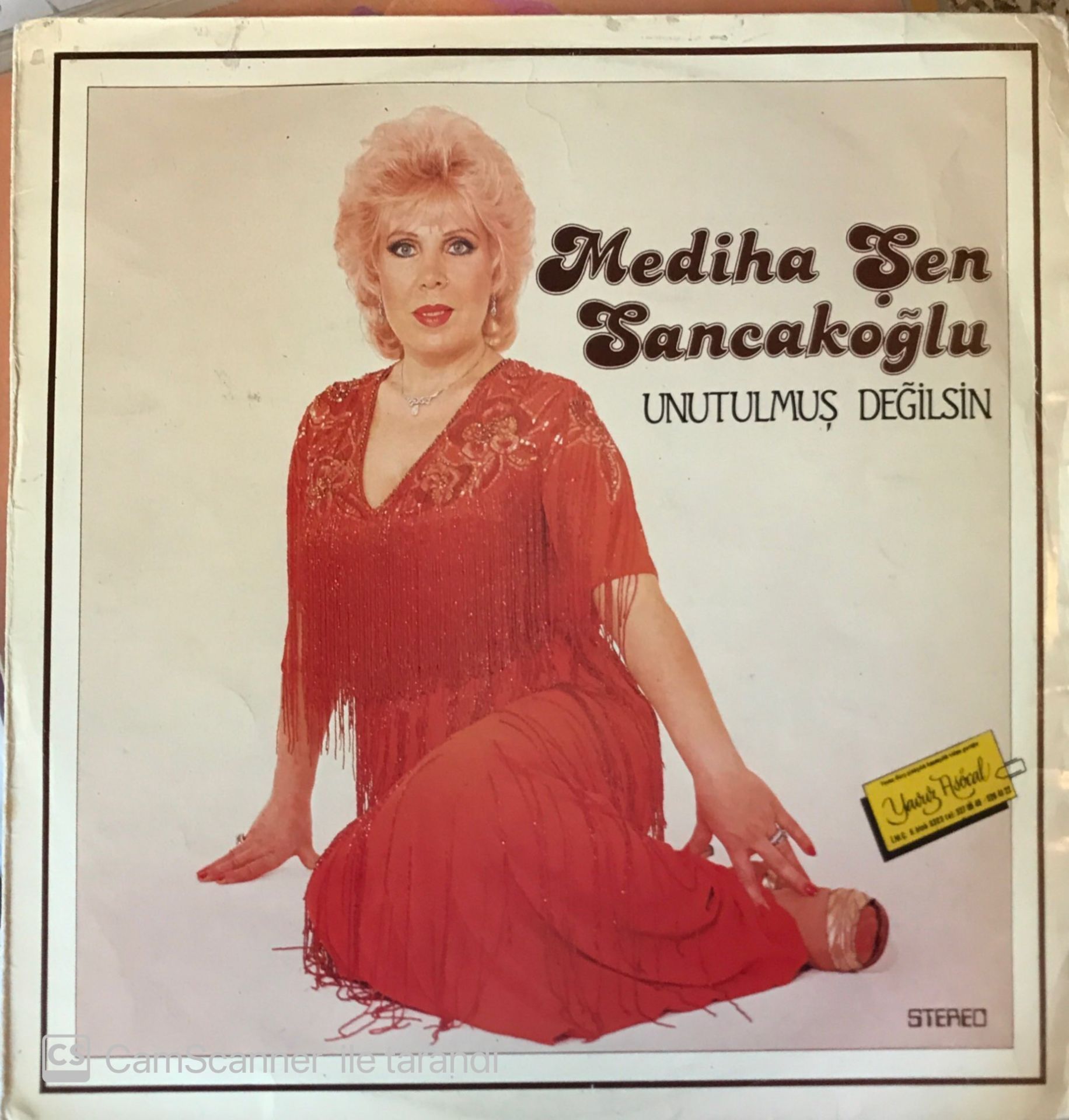 Mediha Şen Sancakoğlu Unutulmuş Değilsin LP