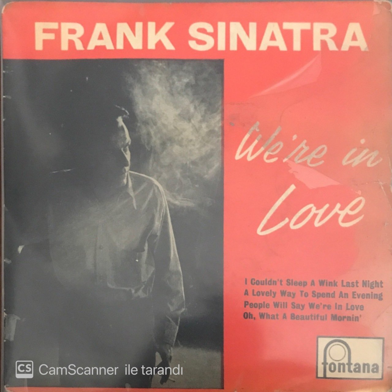 Frank Sinatra We're In Love 45lik