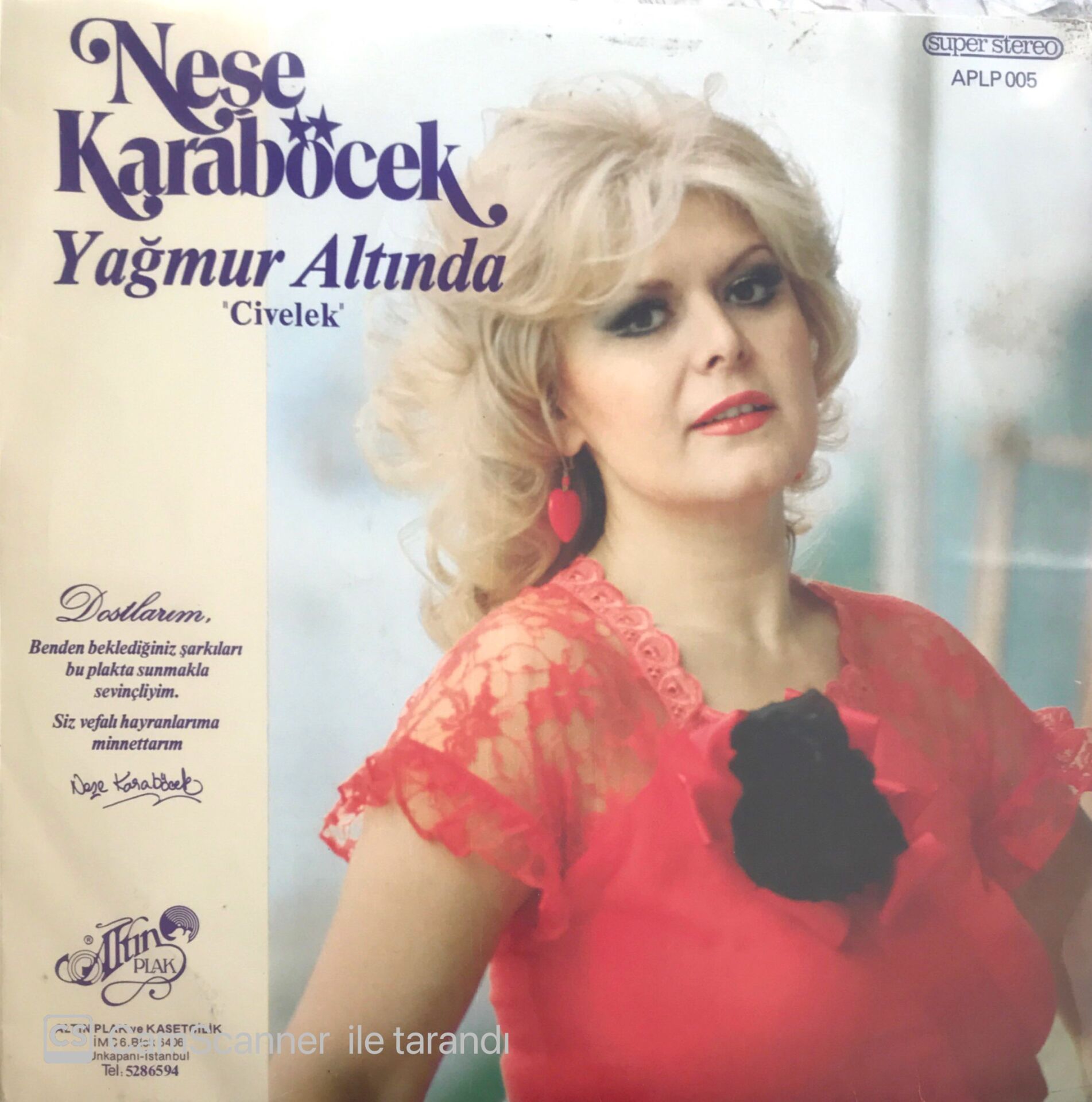 Neşe Karaböcek / Yağmur Altında - ''Civelek'' LP