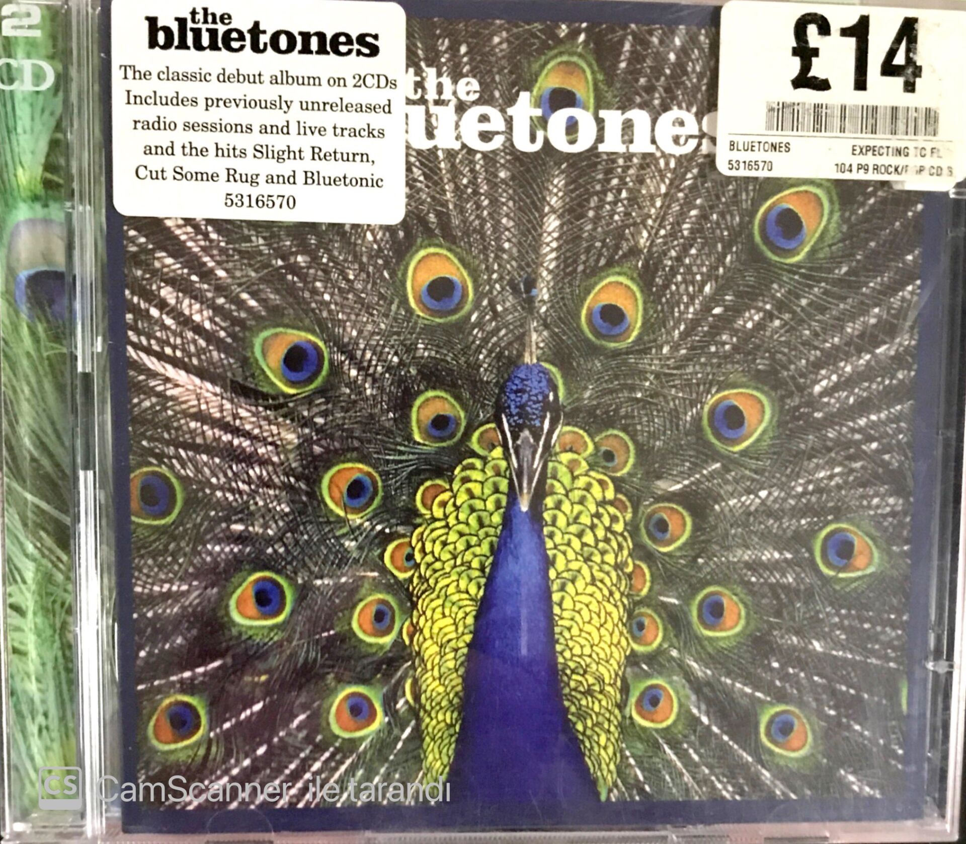The Bluetones - Expecting to Fly CD