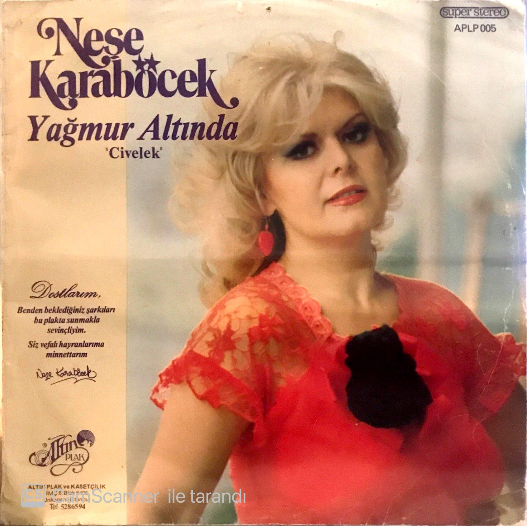 Neşe Karaböcek / Yağmur Altında - ''Civelek'' LP