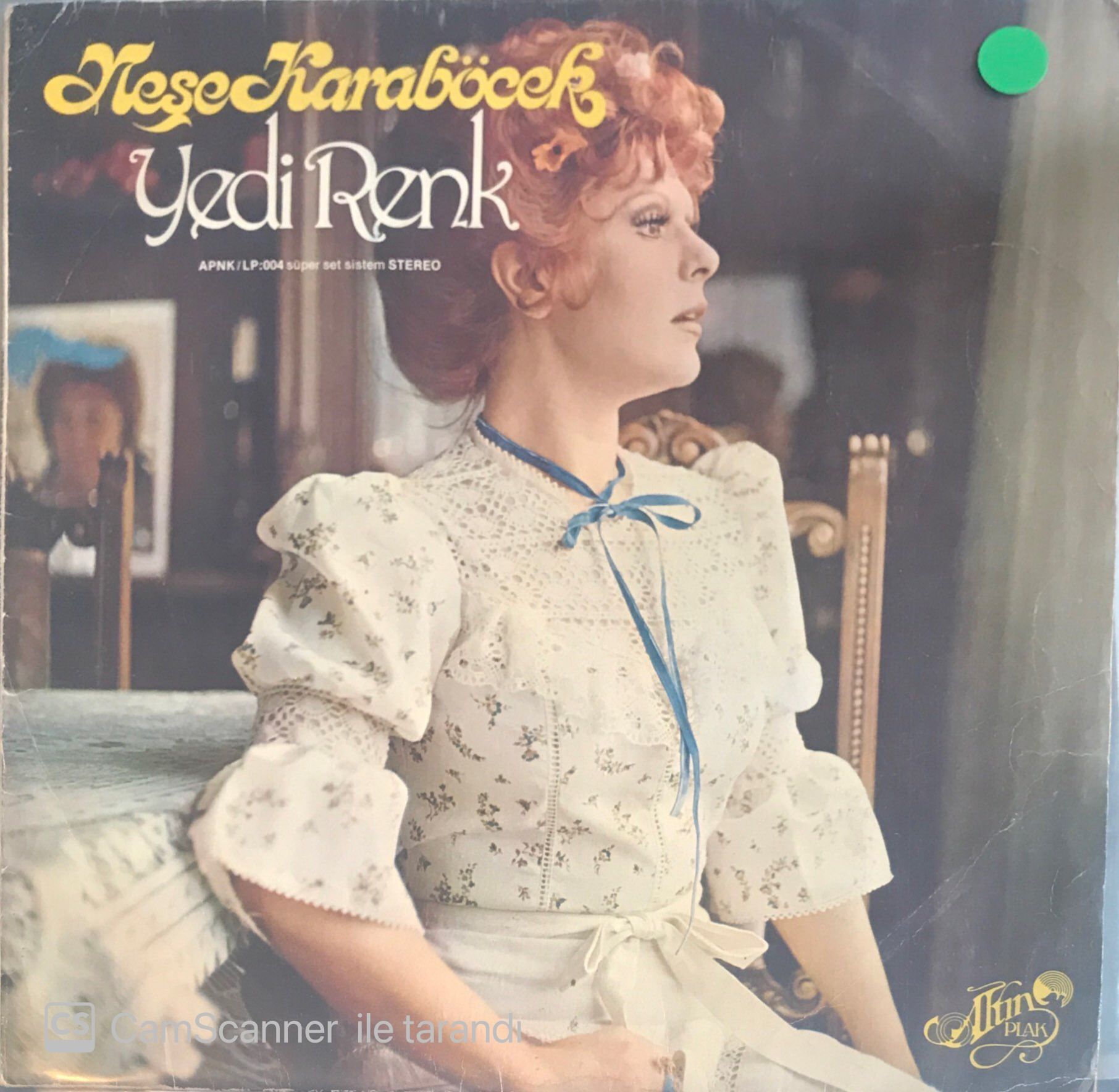 Neşe Karaböcek / Yedi Renk LP
