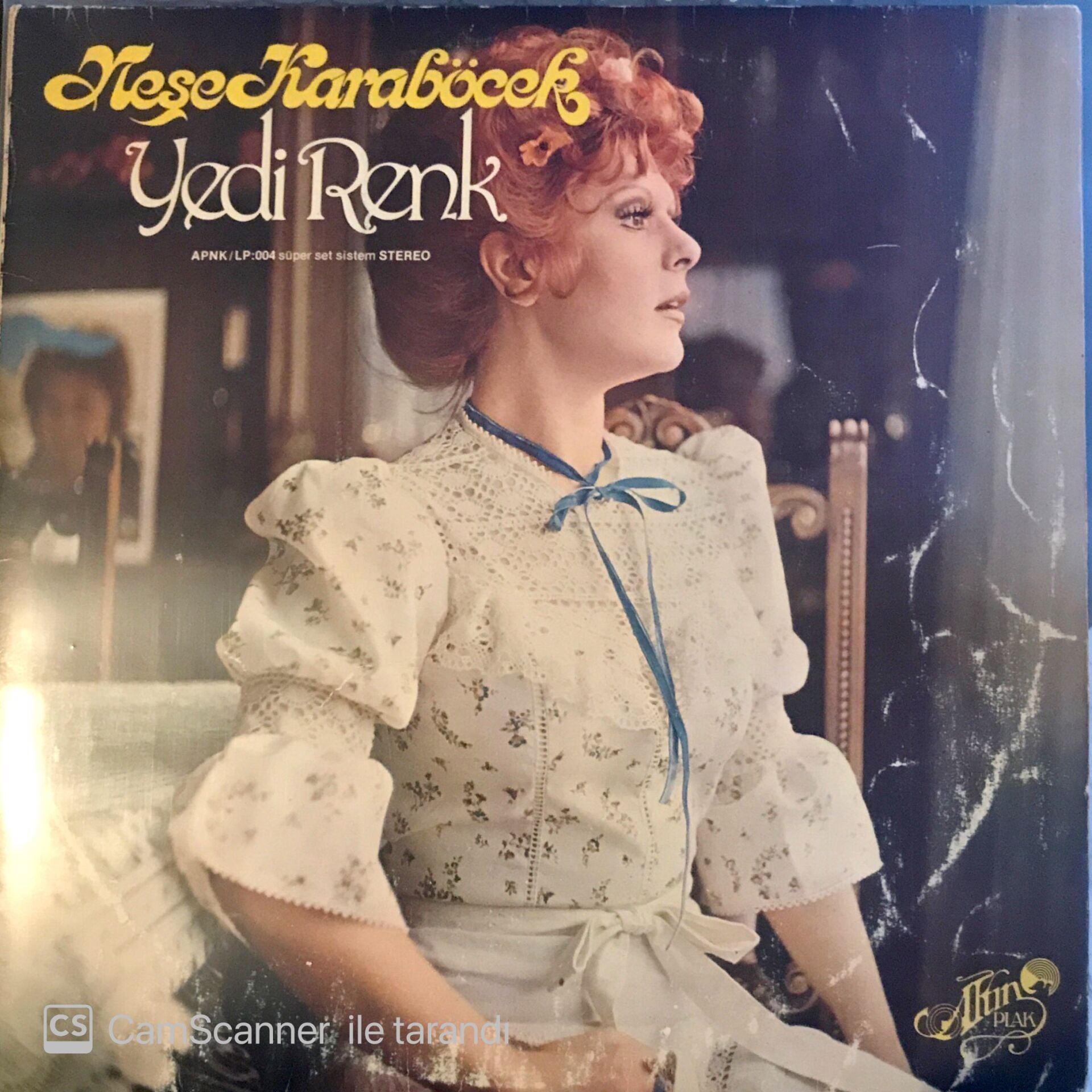 Neşe Karaböcek / Yedi Renk LP