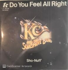 Kc And The Sunshine Band Do You Feel All Righ 45likt