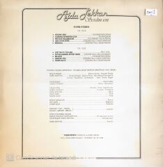 Ajda Pekkan - Sevdim Seni - LP