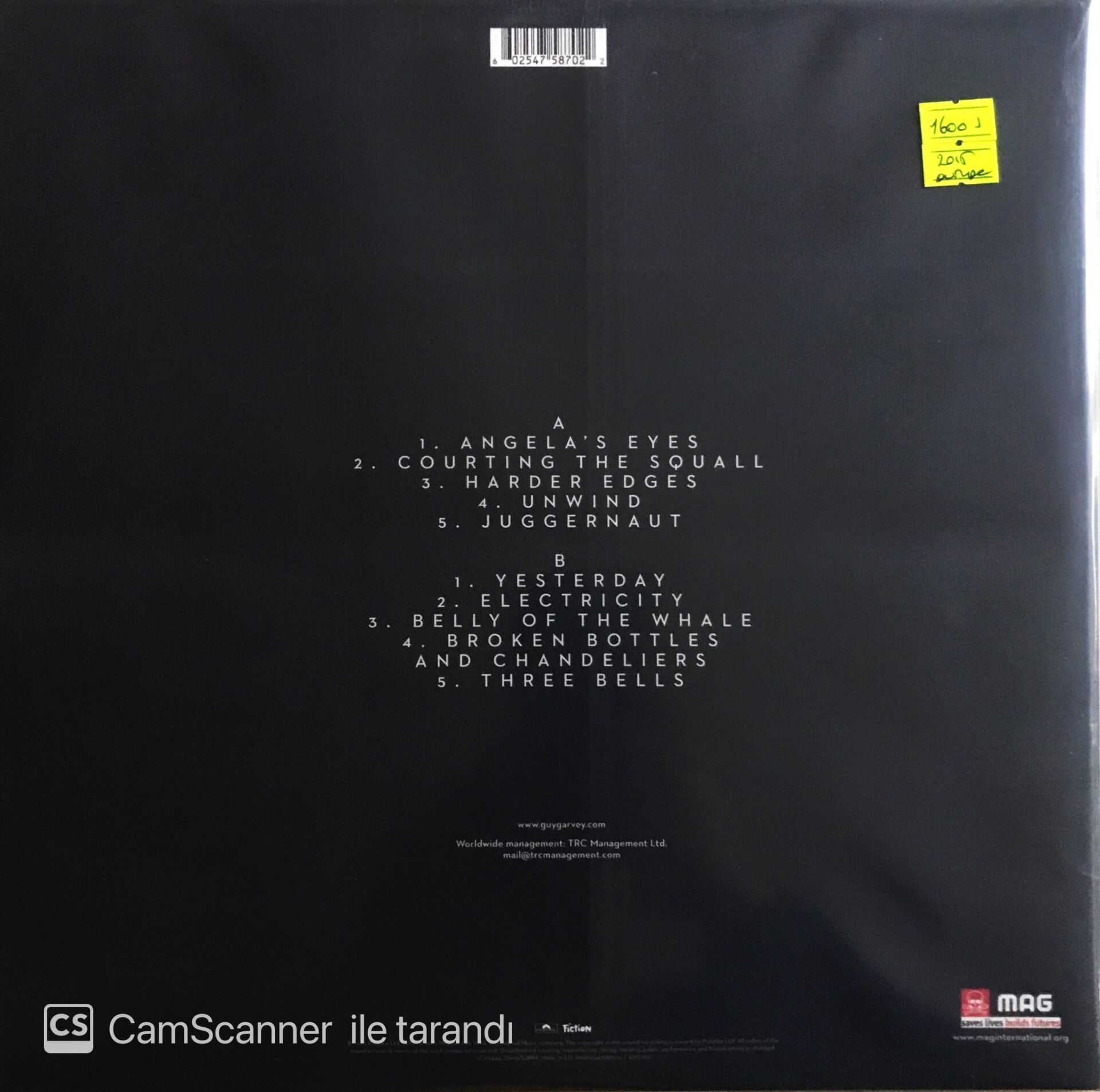 Guy Garvey - Courting The Squall - LP