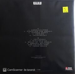 Guy Garvey - Courting The Squall - LP