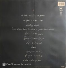 Terence Trent D'arby - LP