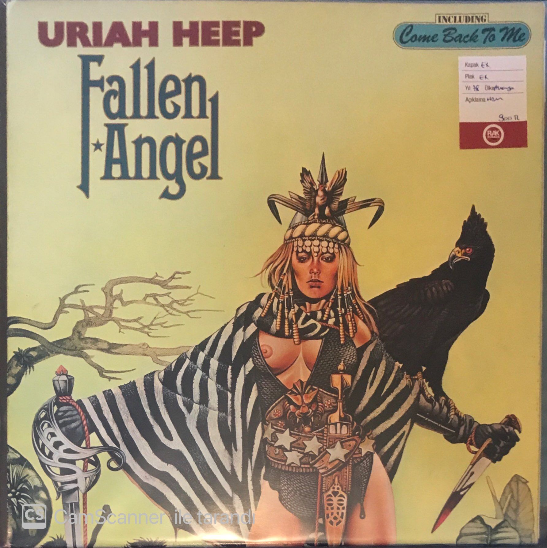 Uriah Heep - Fallen Angel LP