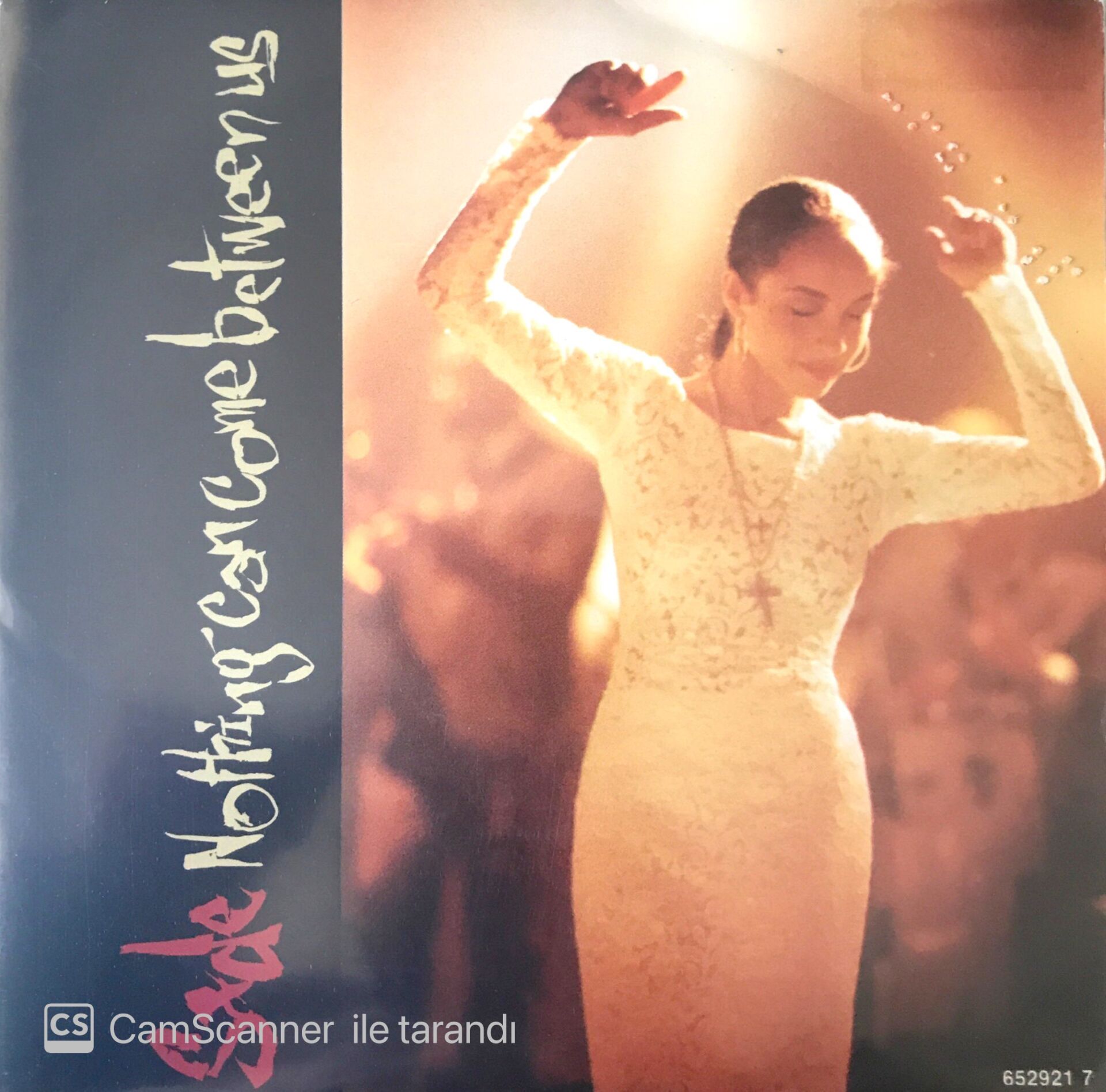 Sade / Nothing Can Come Between Us 45'lik
