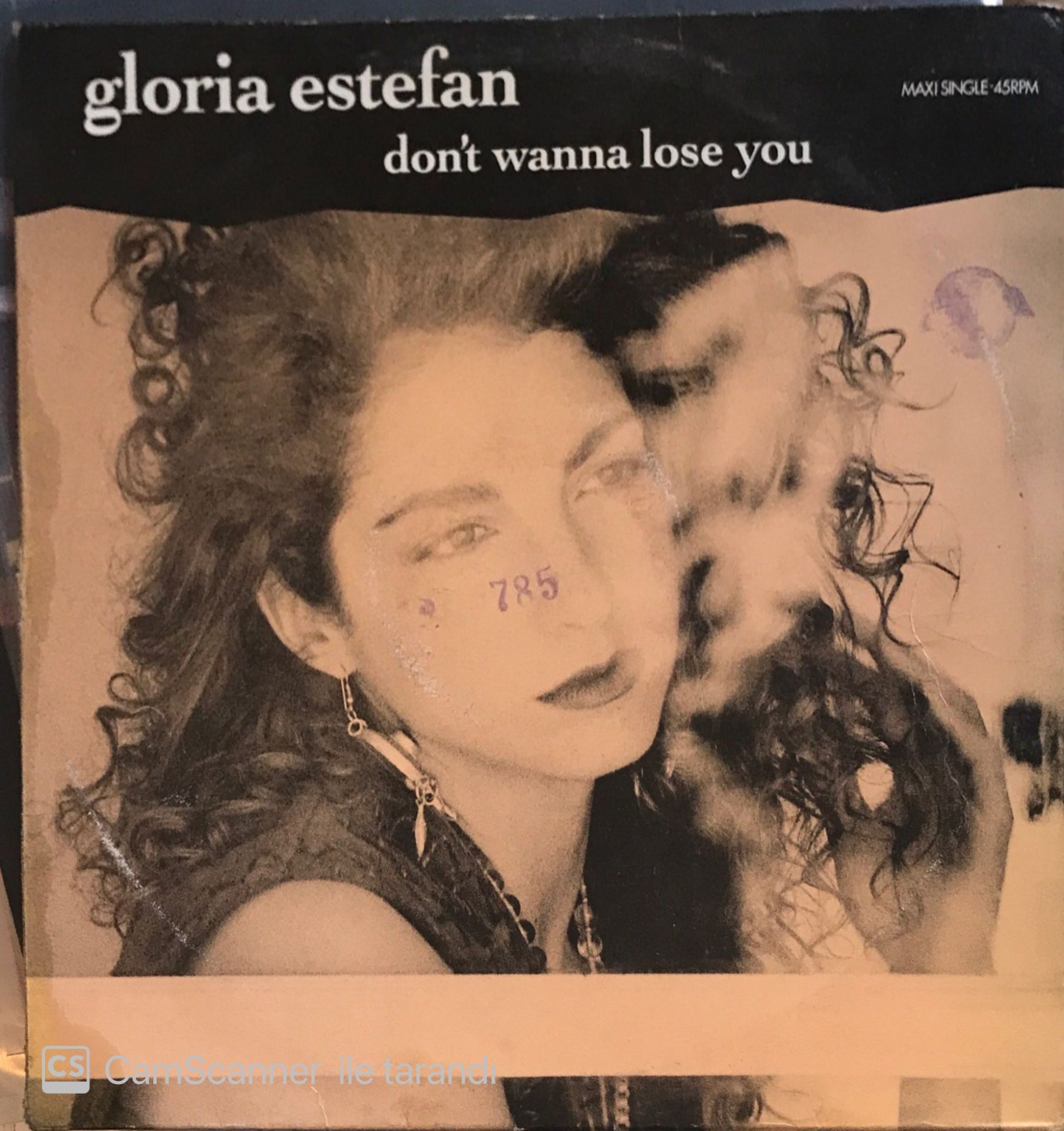 Gloria Estefan - Dont Wanna Lose You MAXİ
