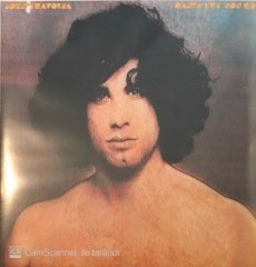John Travolta Can't Let You Go LP