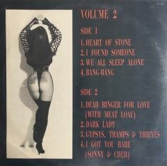 Cher ''Cher's Greatest Hits 1965-1992 Vol.2'' LP