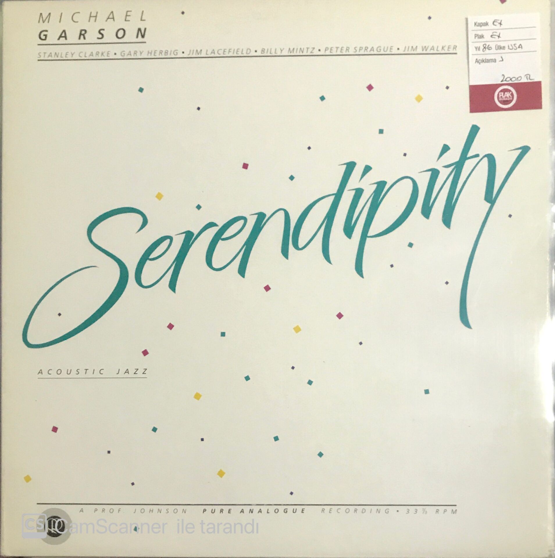 Michael Garson - Serendipity LP