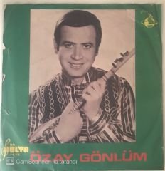 Özay Gönlüm Tepsi Tepsi Fındıklar 45lik