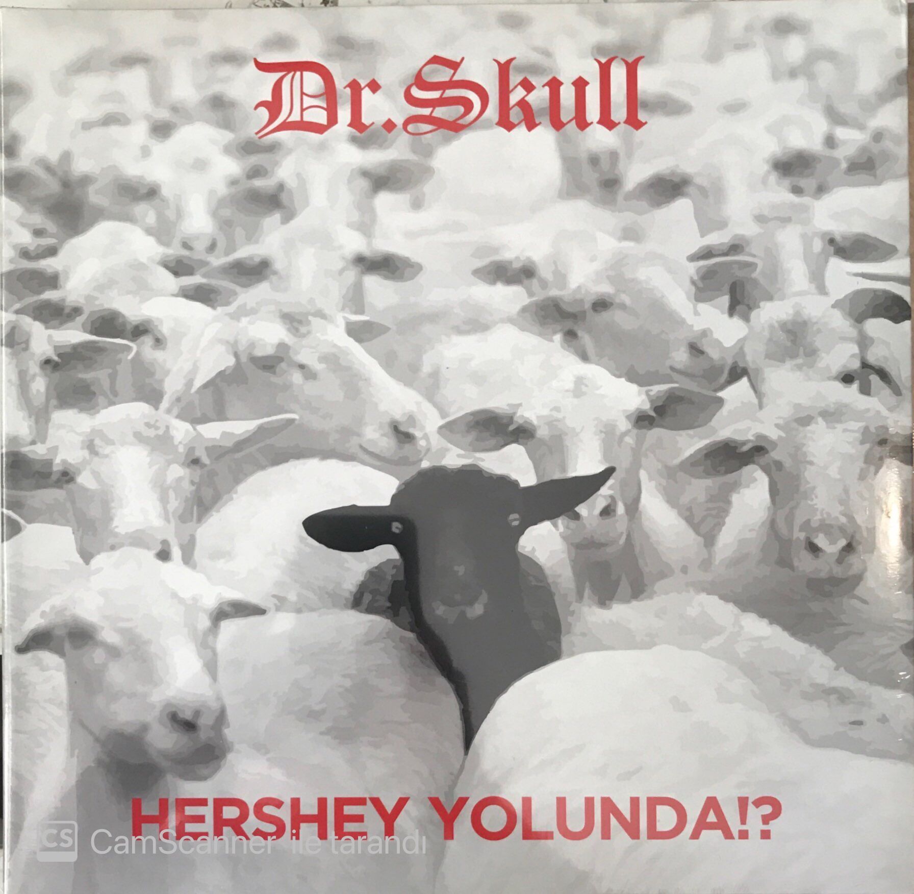 Dr. Skull Hershey Yolunda!? LP