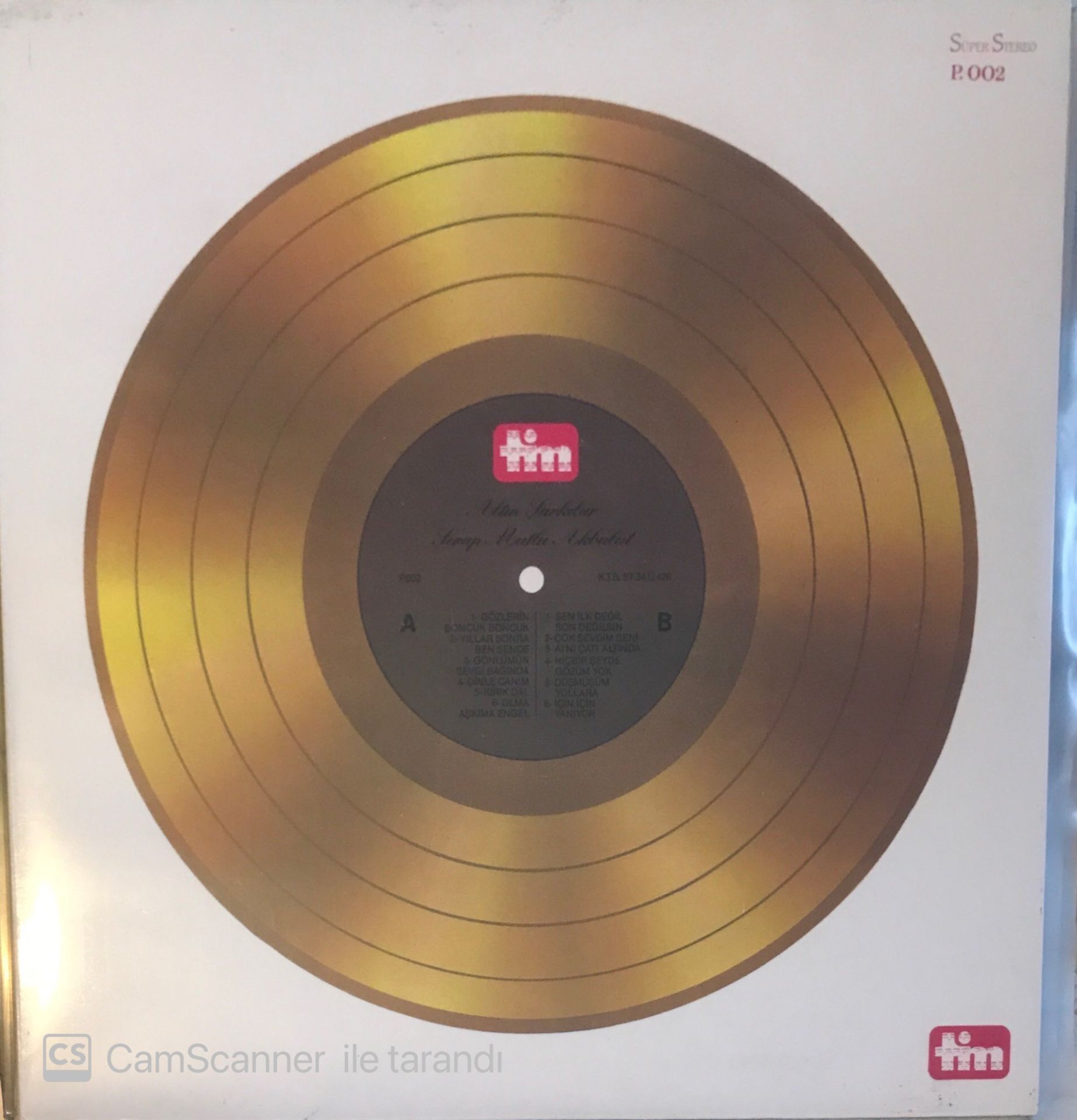 Serap Mutlu Akbulut - Altın Şarkılar LP